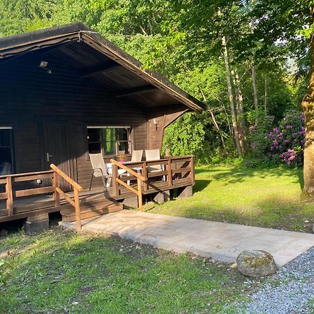Heidegut Eschede Reitsportanlage Und Feriendorf Dış mekan fotoğraf