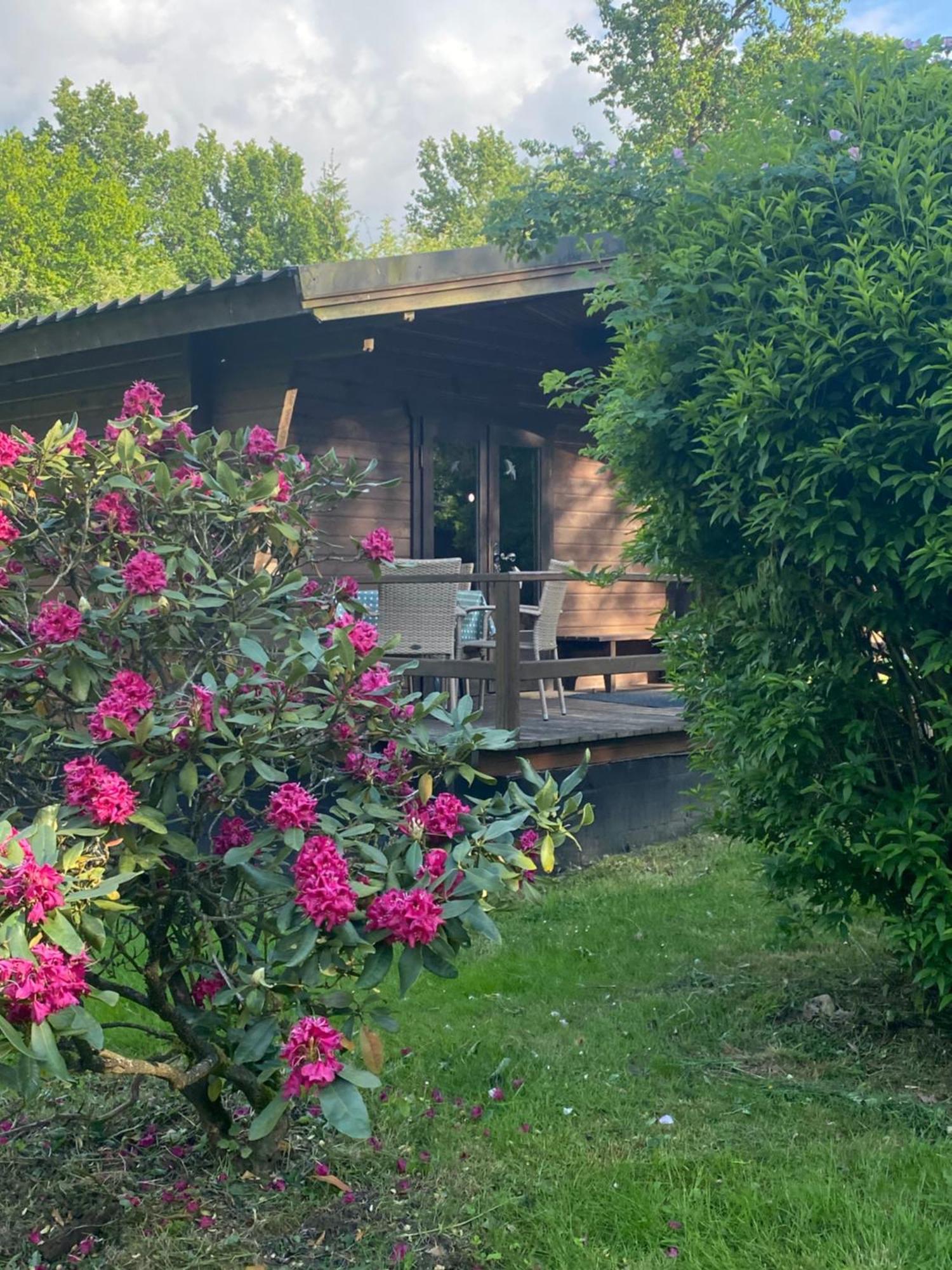 Heidegut Eschede Reitsportanlage Und Feriendorf Dış mekan fotoğraf