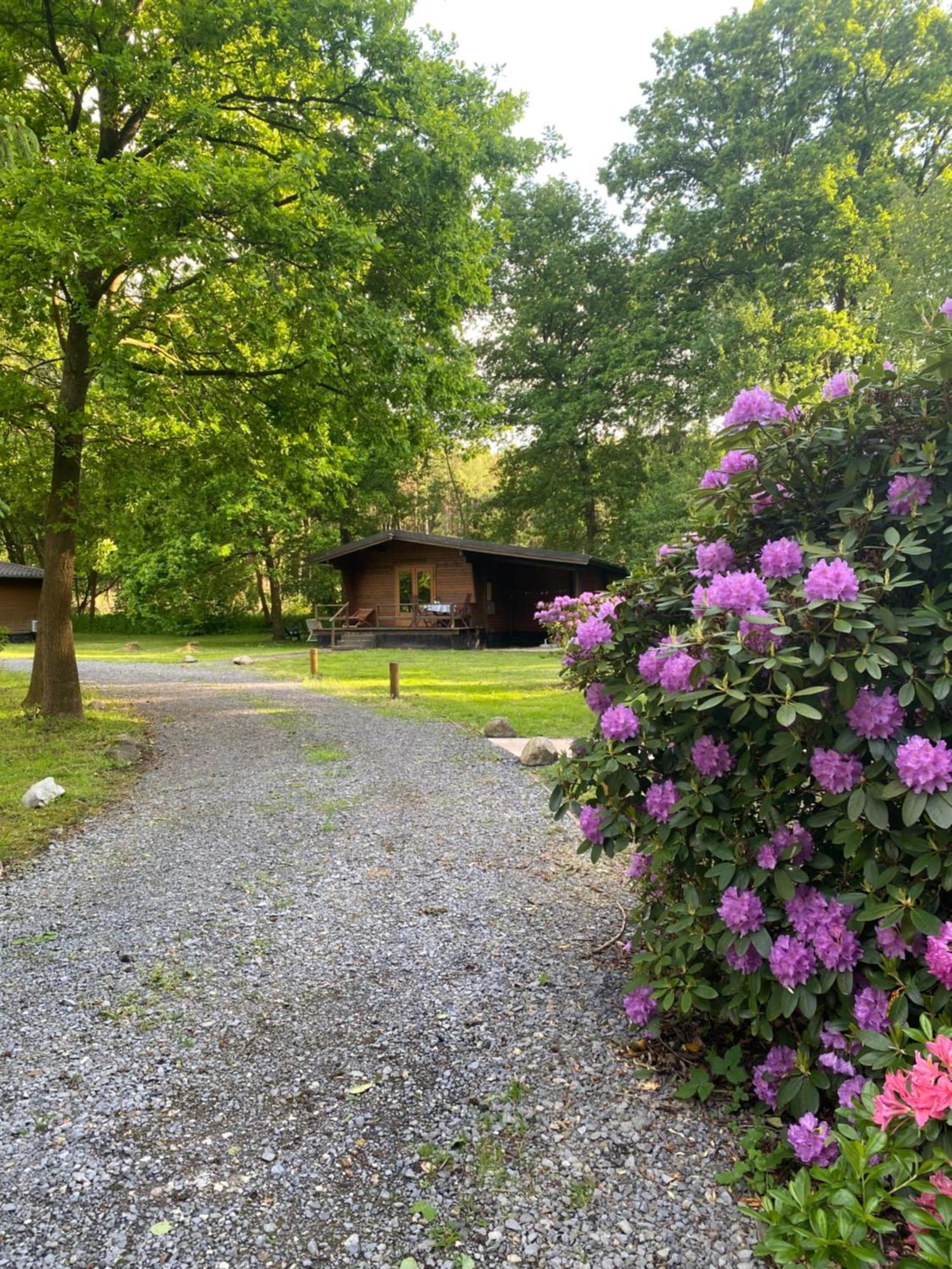 Heidegut Eschede Reitsportanlage Und Feriendorf Dış mekan fotoğraf