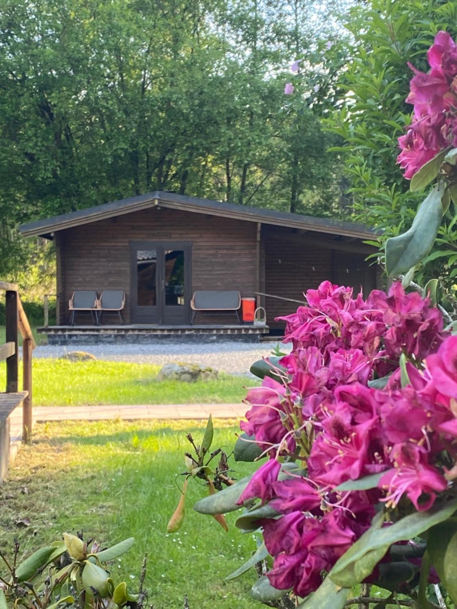 Heidegut Eschede Reitsportanlage Und Feriendorf Dış mekan fotoğraf