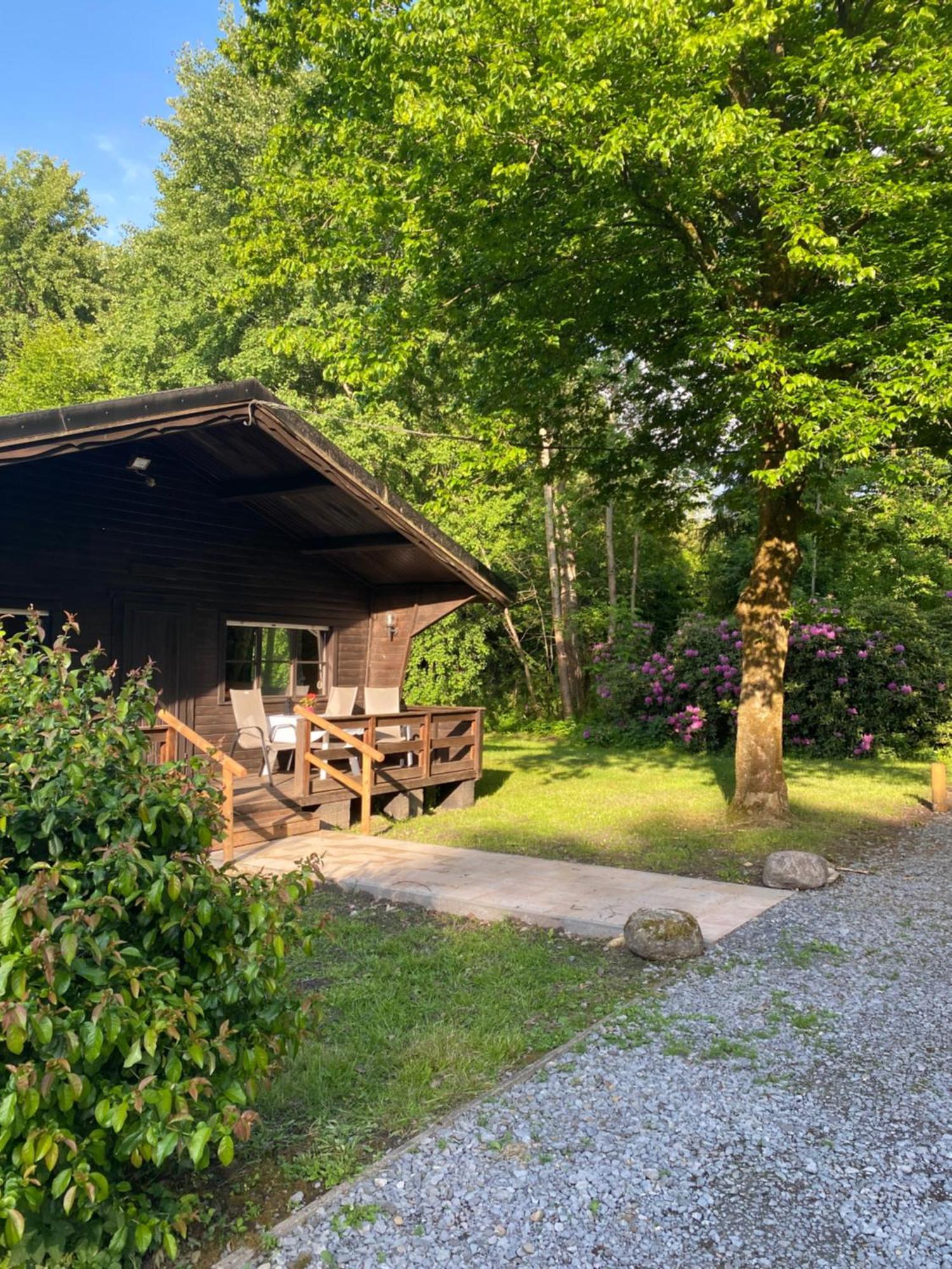 Heidegut Eschede Reitsportanlage Und Feriendorf Dış mekan fotoğraf