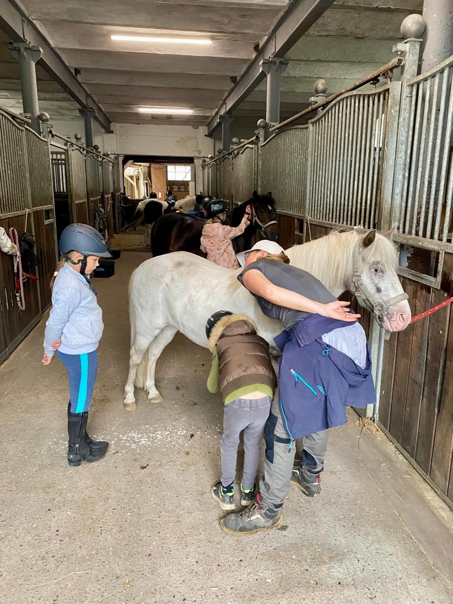 Heidegut Eschede Reitsportanlage Und Feriendorf Dış mekan fotoğraf