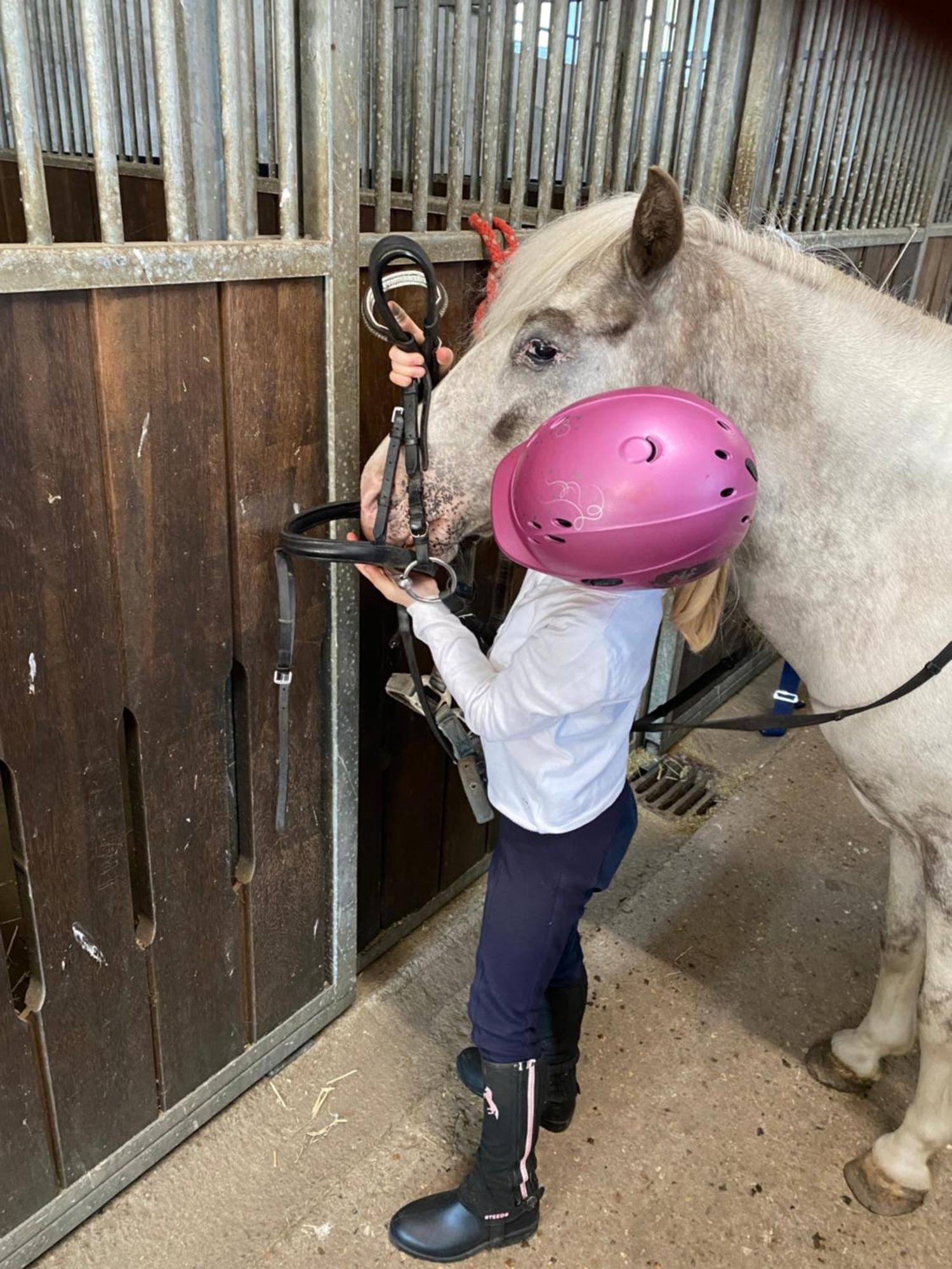 Heidegut Eschede Reitsportanlage Und Feriendorf Dış mekan fotoğraf