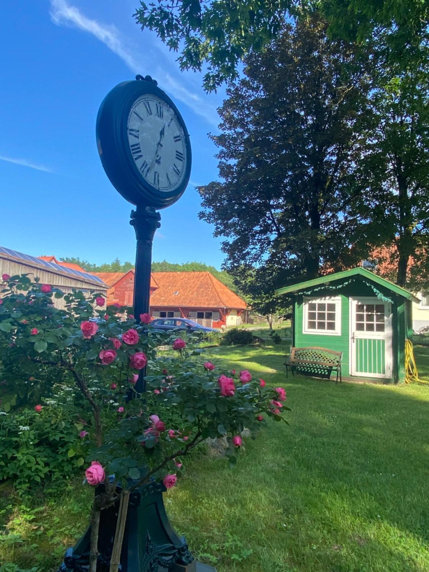 Heidegut Eschede Reitsportanlage Und Feriendorf Dış mekan fotoğraf