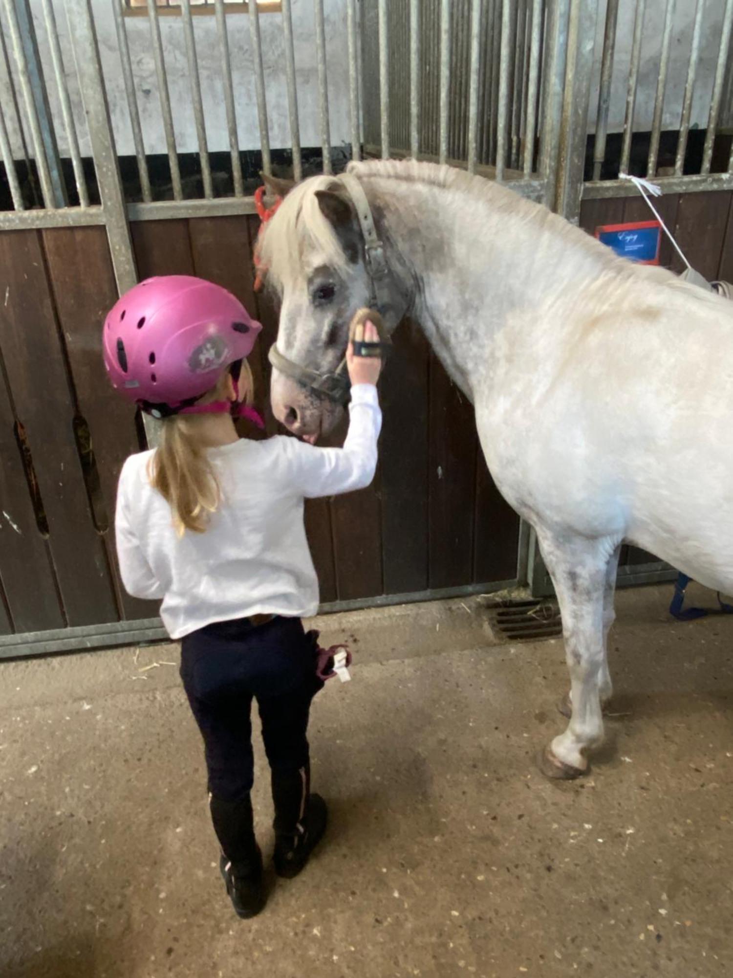 Heidegut Eschede Reitsportanlage Und Feriendorf Dış mekan fotoğraf