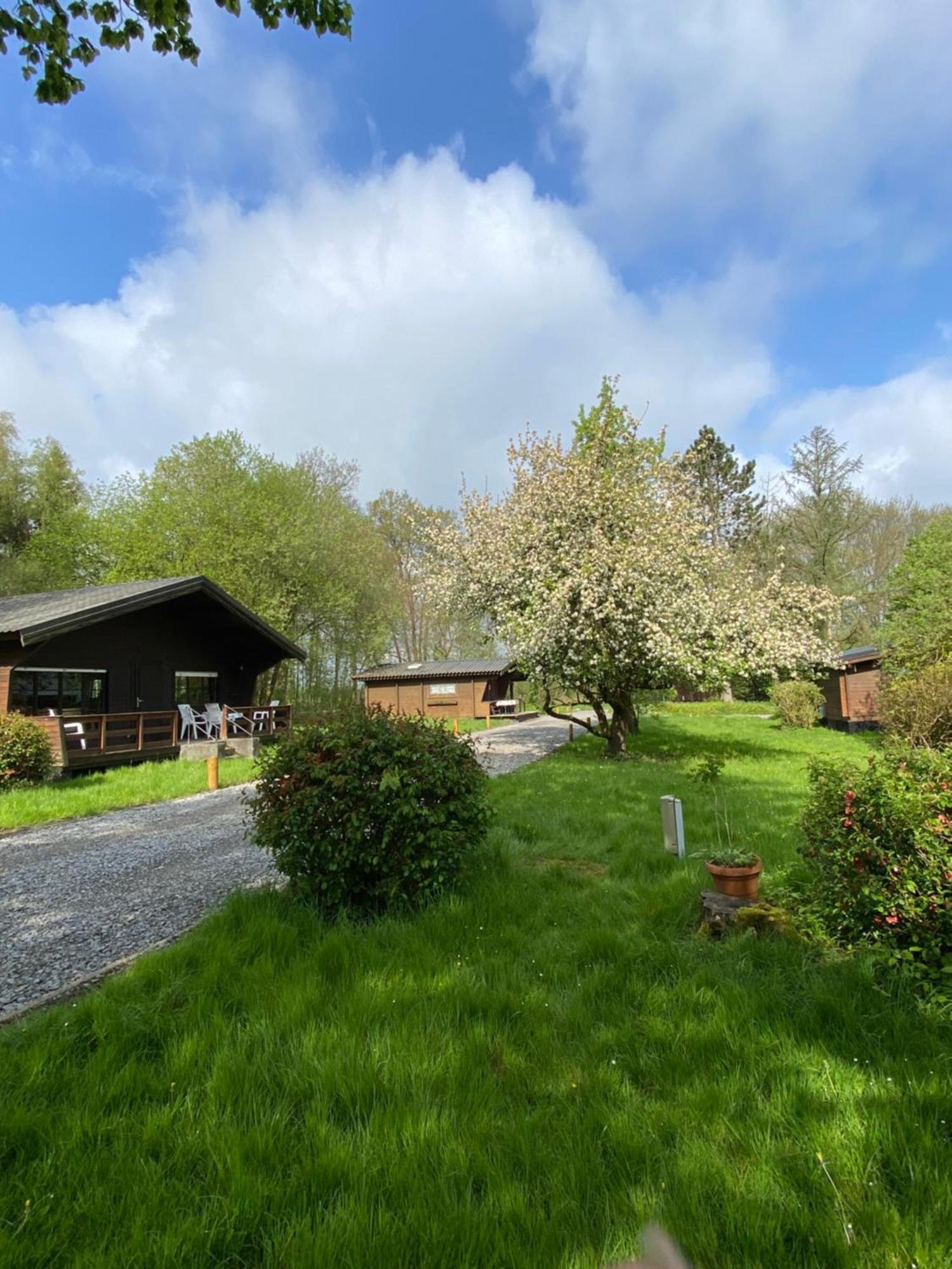 Heidegut Eschede Reitsportanlage Und Feriendorf Dış mekan fotoğraf